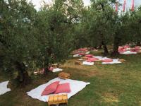 Pic-Nic tra gli Ulivi (25 Aprile e 1 Maggio)